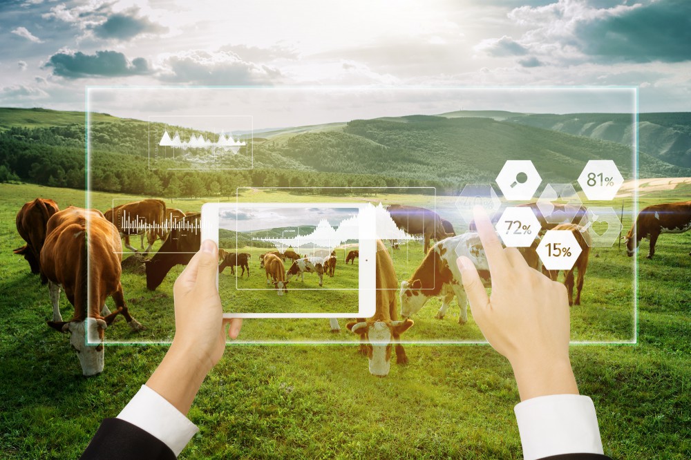 问鼎娱乐官网-不凡成绩非凡,相信品牌的实力