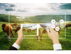 问鼎娱乐官网-不凡成绩非凡,相信品牌的实力