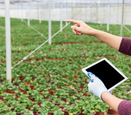 问鼎娱乐官网-不凡成绩非凡,相信品牌的实力